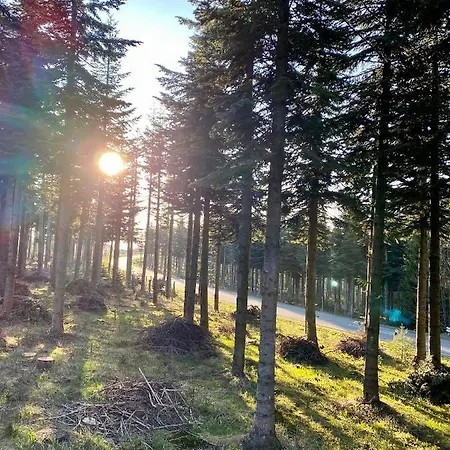 Ξενοδοχείο Astenturm (adults Only)