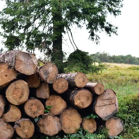 Astenturm (adults Only) Ξενοδοχείο