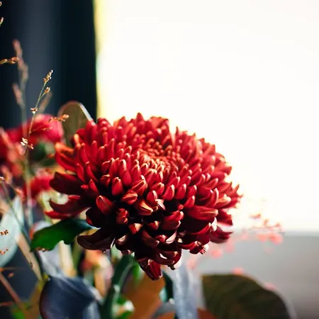 Ξενοδοχείο Astenturm (adults Only) 3*