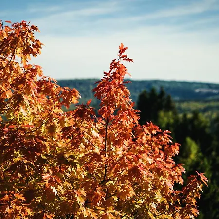 Hotel Astenturm (adults Only) 3*