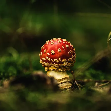 Ξενοδοχείο Astenturm (adults Only) 3*