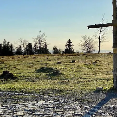 Astenturm (adults Only)