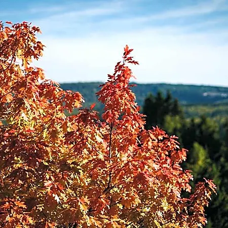 Astenturm (adults Only) Hotel 3*