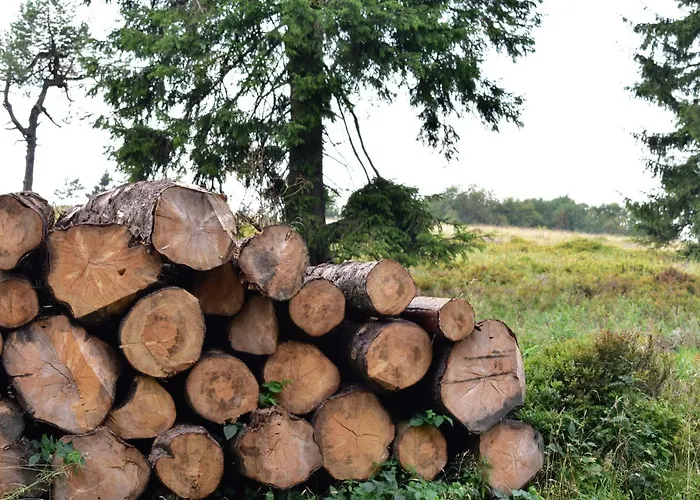 Astenturm (adults Only) Hotel