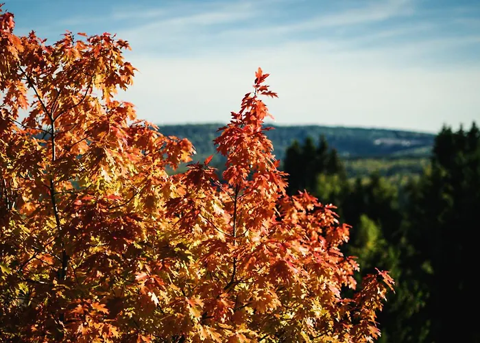 Hotel Astenturm (adults Only) 3*